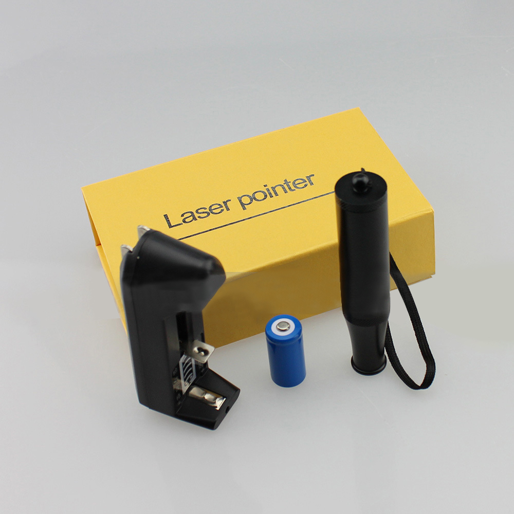 puple 350mw laser pointer